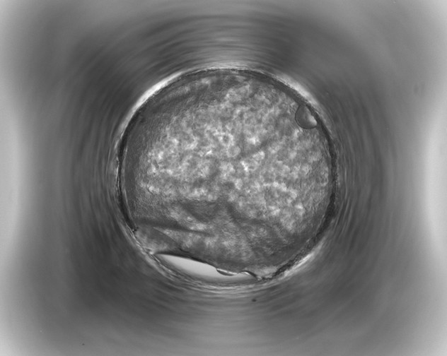 X0000084560933200703161702