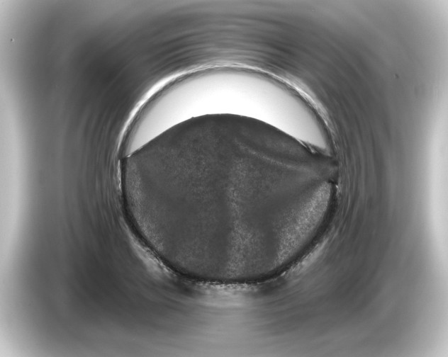 X0000084560934200703161702