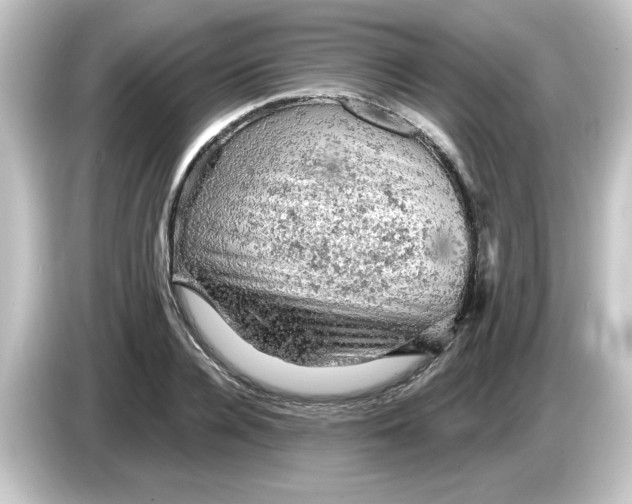 X0000084560936200703161702