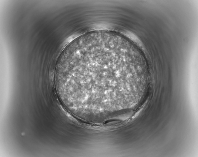 X0000084560937200703161702