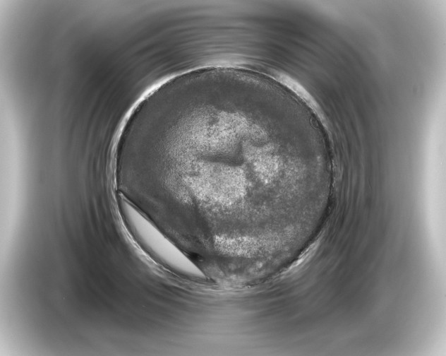 X0000084560939200703161702