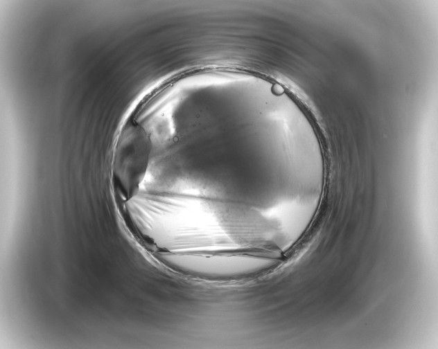 X0000084560941200703161702