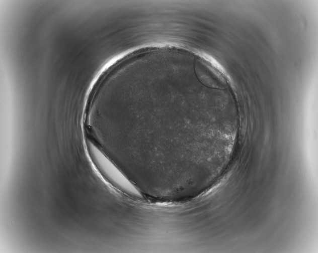 X0000084560943200703161702