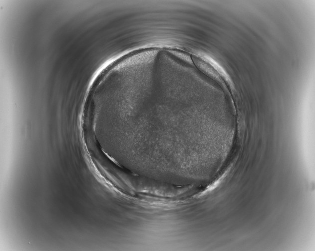 X0000084560944200703161702