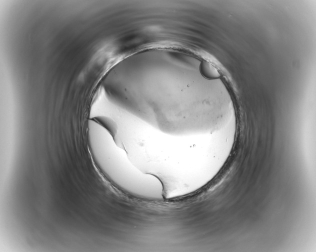 X0000084560945200703161702