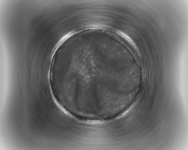 X0000084560946200703161702