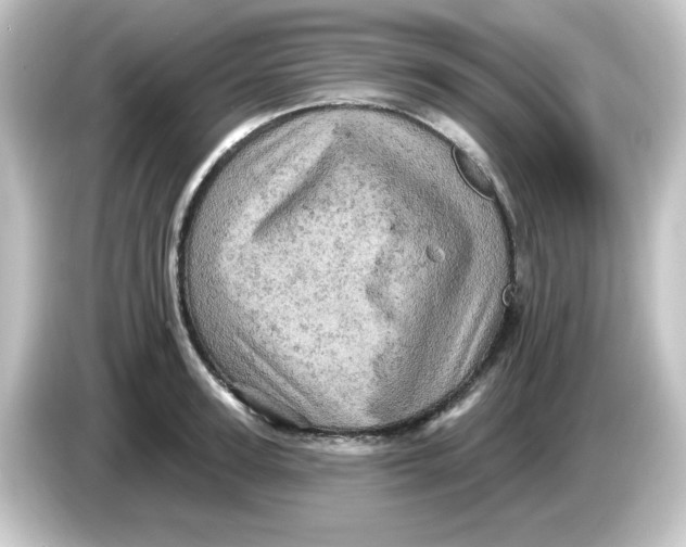 X0000084560947200703161702