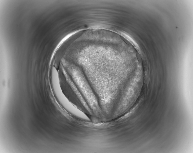 X0000084560948200703161702