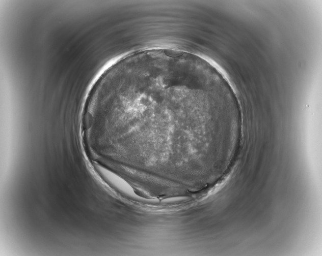 X0000084560949200703161702