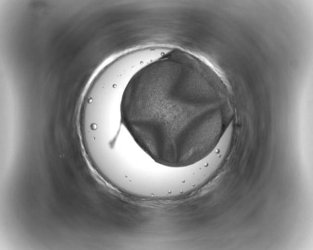 X0000084560950200703161702