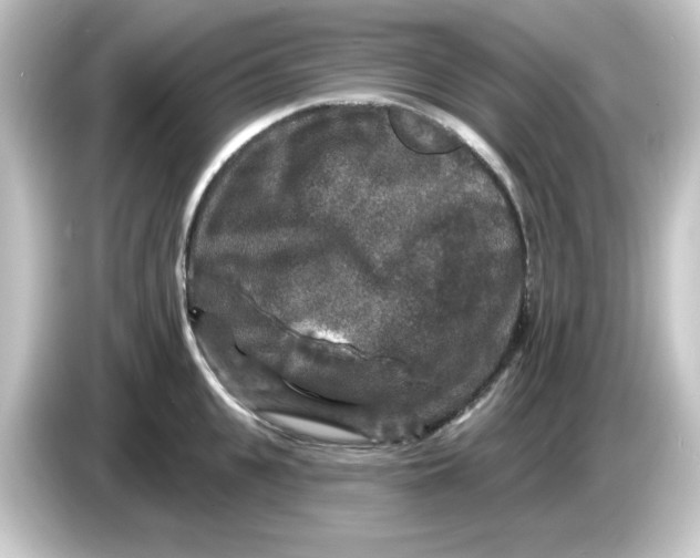 X0000084560951200703161702