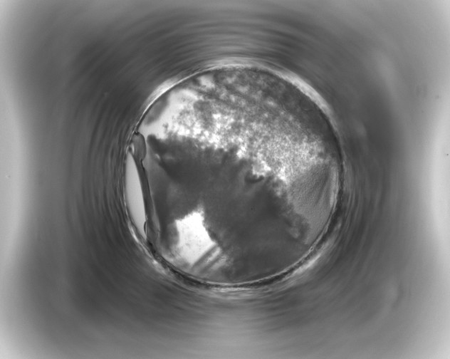 X0000084560953200703161702