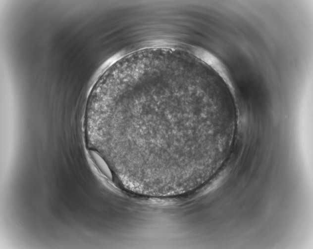 X0000084560954200703161702