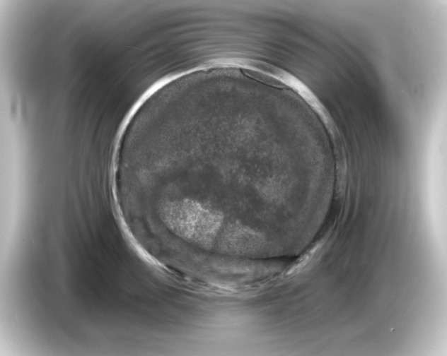 X0000084560955200703161702