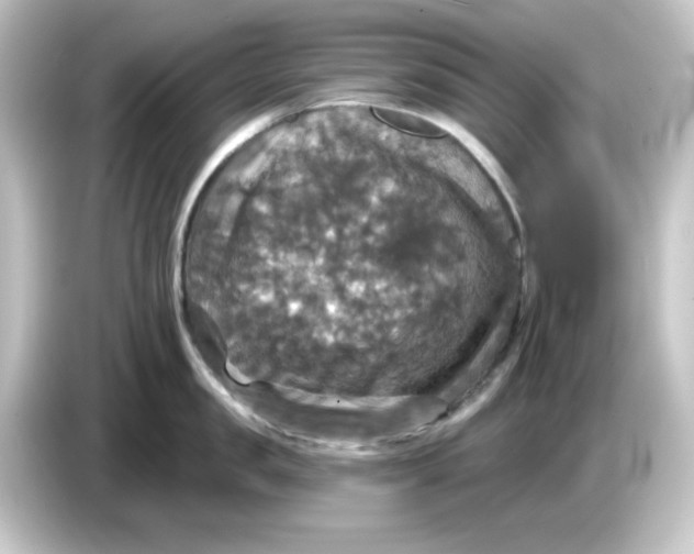 X0000084560957200703161702