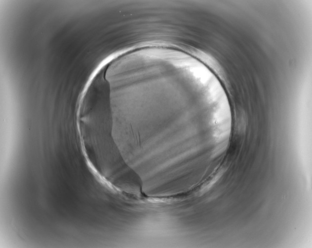 X0000084560958200703161702