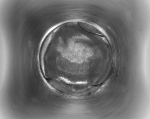 X0000084560959200703161702