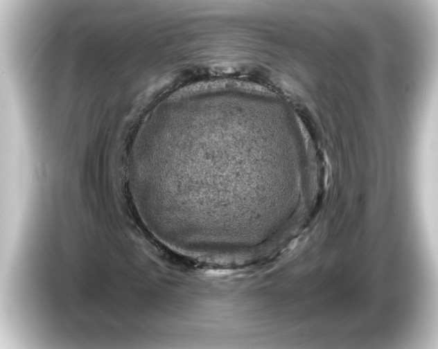 X0000084560961200703161701