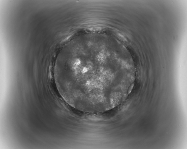 X0000084560962200703161701