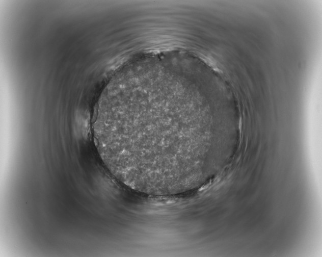 X0000084560963200703161701