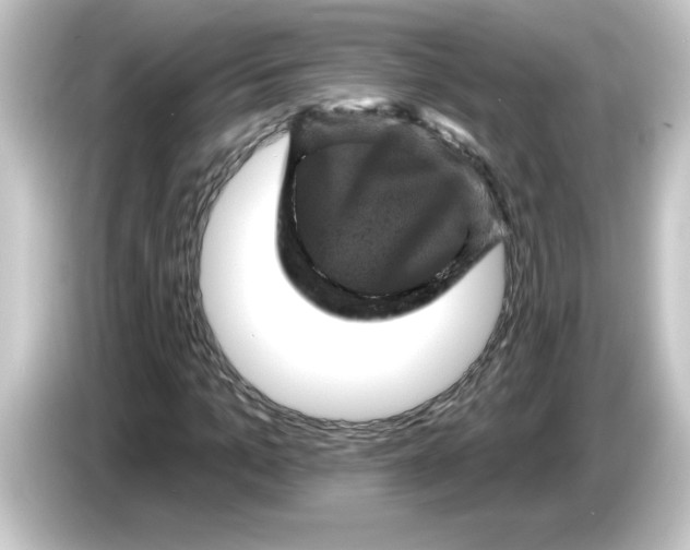 X0000084560965200703161701