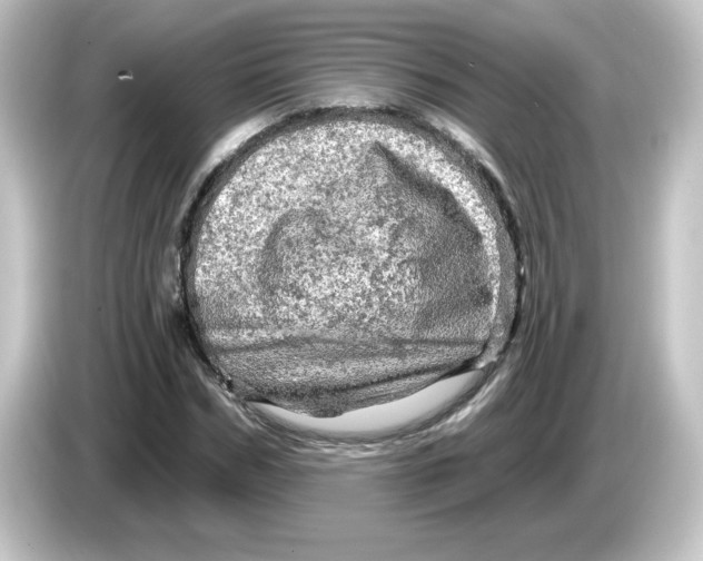 X0000084560970200703161701