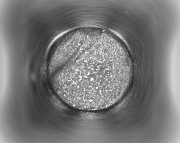 X0000084560971200703161701