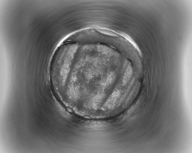 X0000084560972200703161701