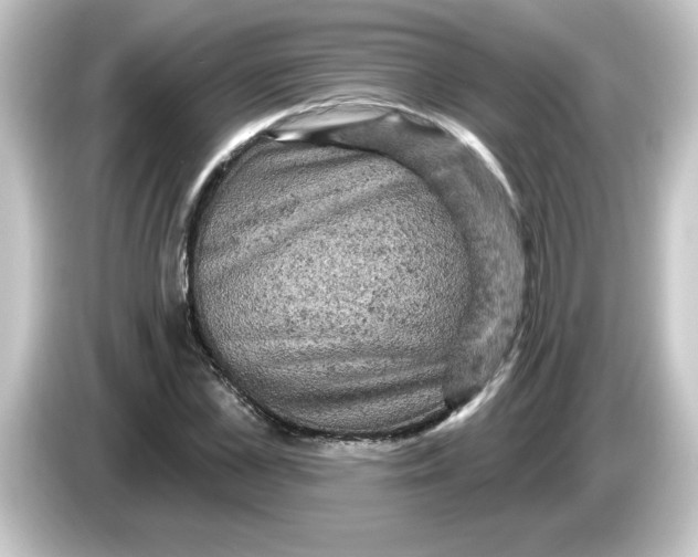 X0000084560973200703161701