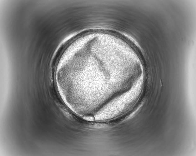 X0000084560974200703161701