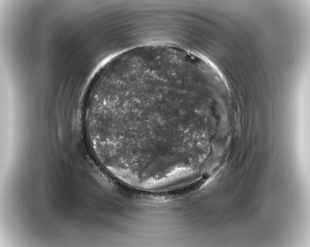 X0000084560975200703161701