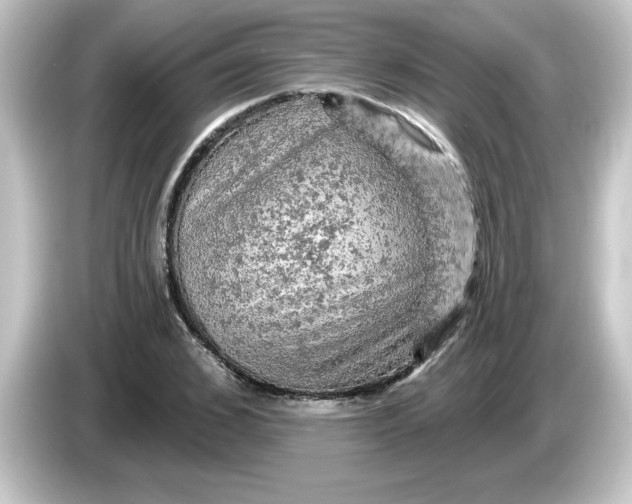 X0000084560976200703161701