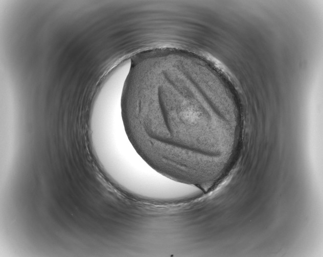 X0000084560977200703161701