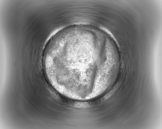 X0000084560978200703161701