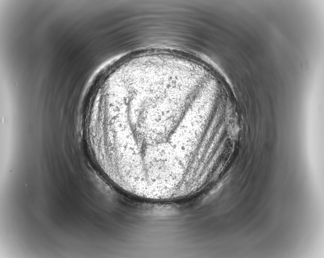 X0000084560979200703161701