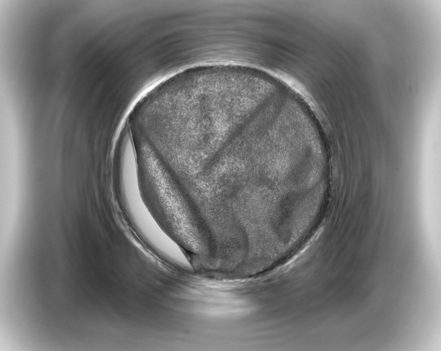 X0000084560982200703161701