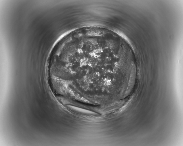 X0000084560983200703161701