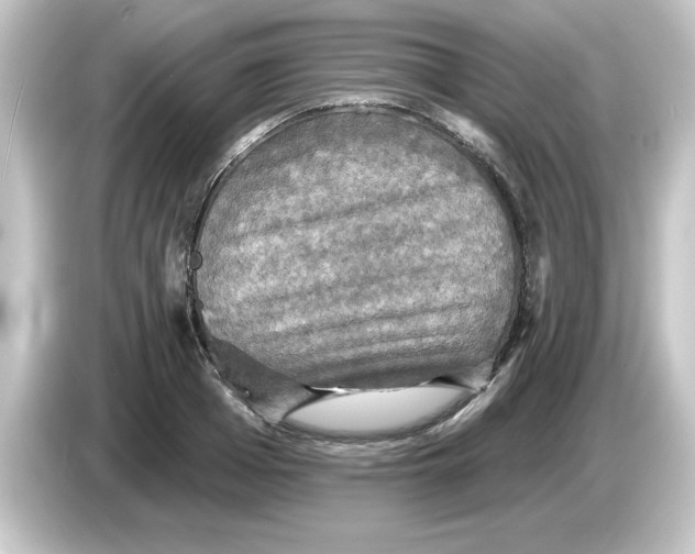 X0000084560985200703161701