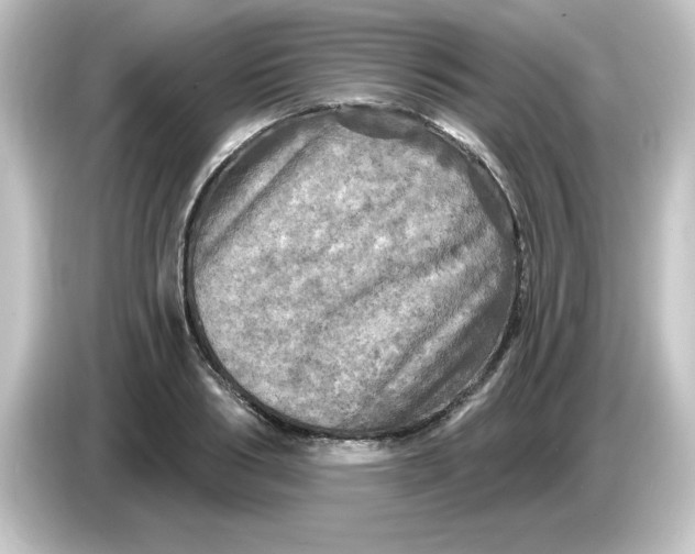 X0000084560986200703161701