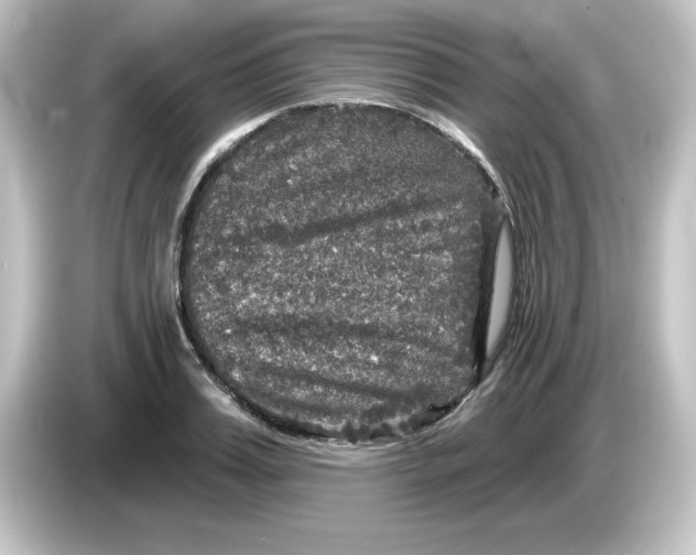 X0000084560987200703161701