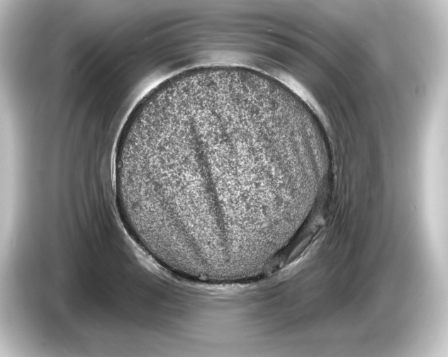 X0000084560988200703161701