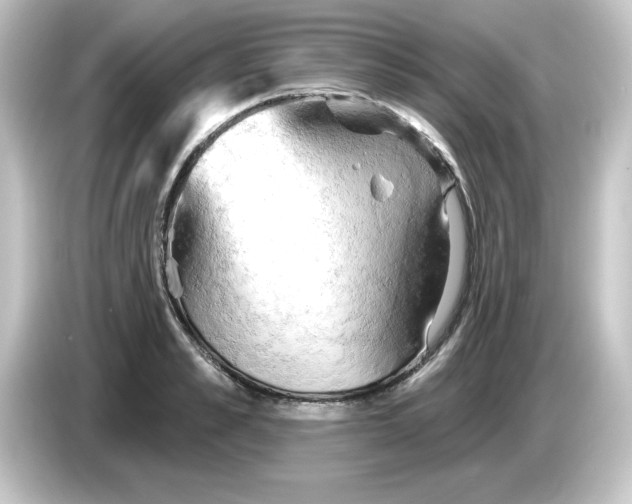 X0000084560989200703161701