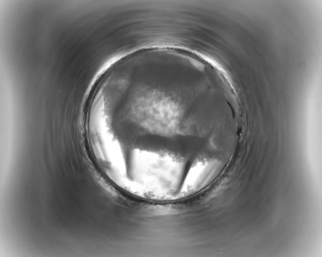 X0000084560990200703161701