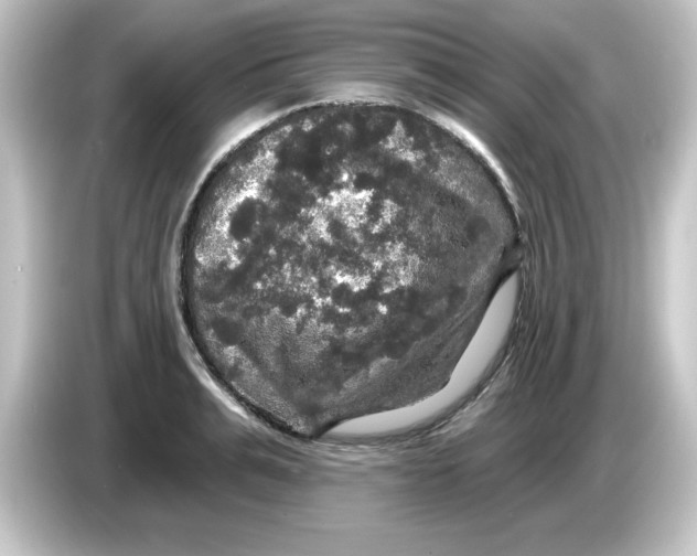 X0000084560991200703161701