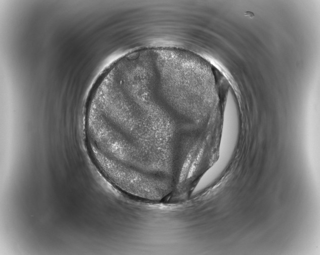 X0000084560992200703161701