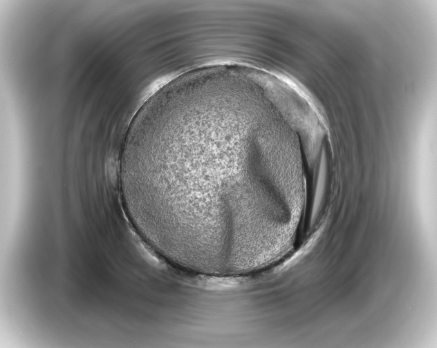 X0000084560993200703161701