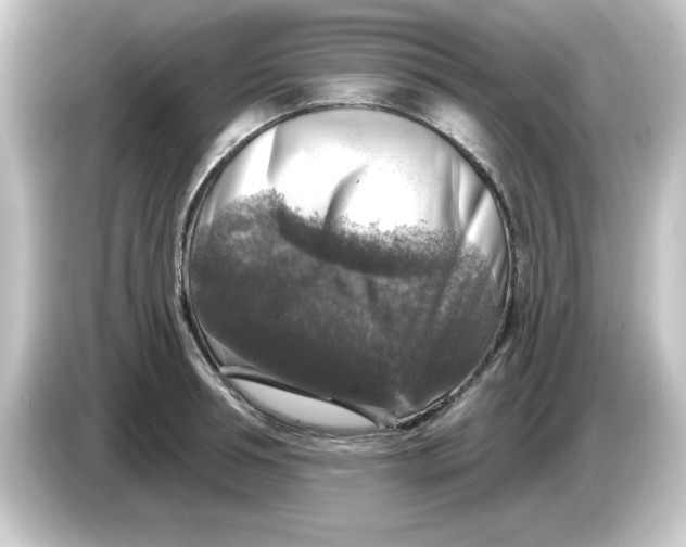 X0000084560994200703161701