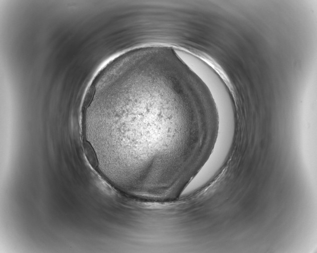 X0000084560996200703161701