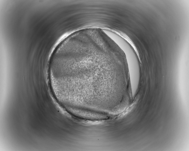 X0000084560997200703161701