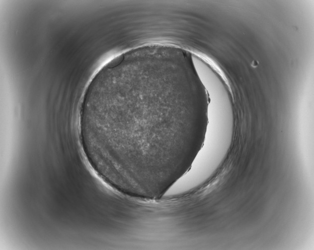 X0000084560999200703161701